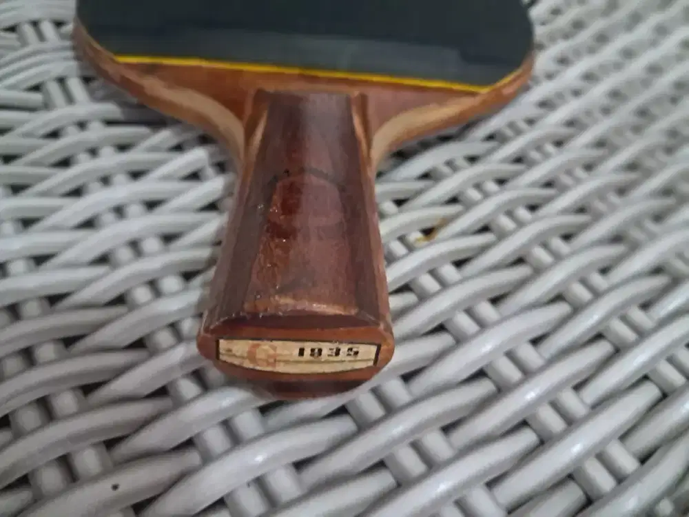 BAT PENHOLD DHS PLUS KARET BINTIK
