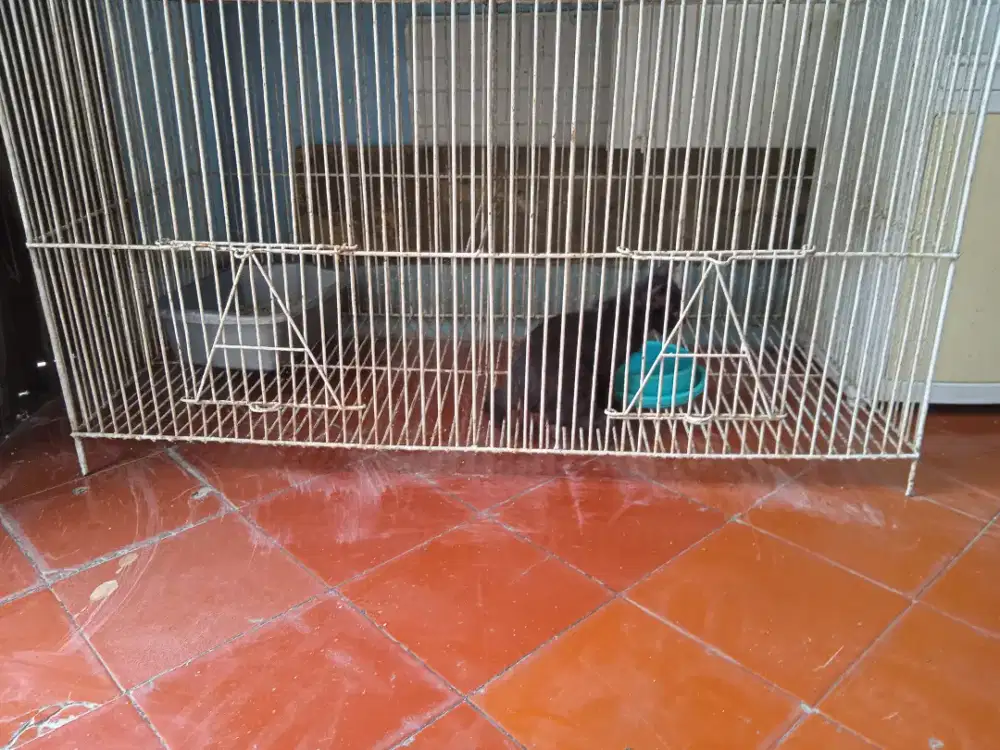 Kandang kucing besar 100 x 50 bagus besi tebal dan rapi