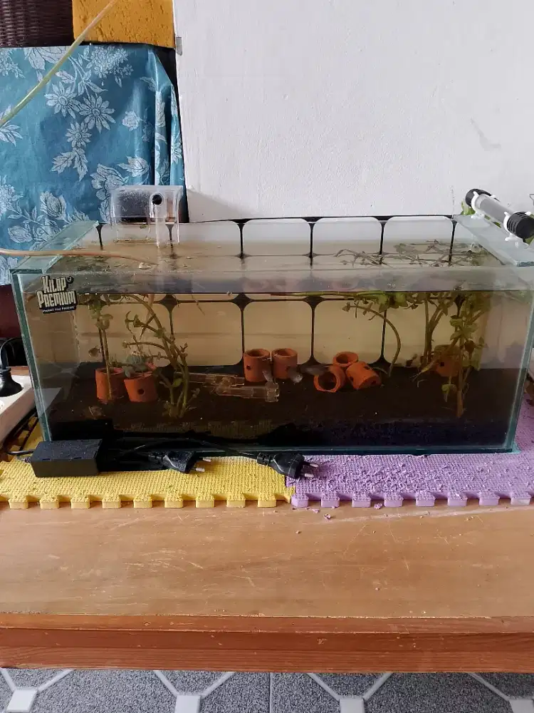 Jual full set aquarium