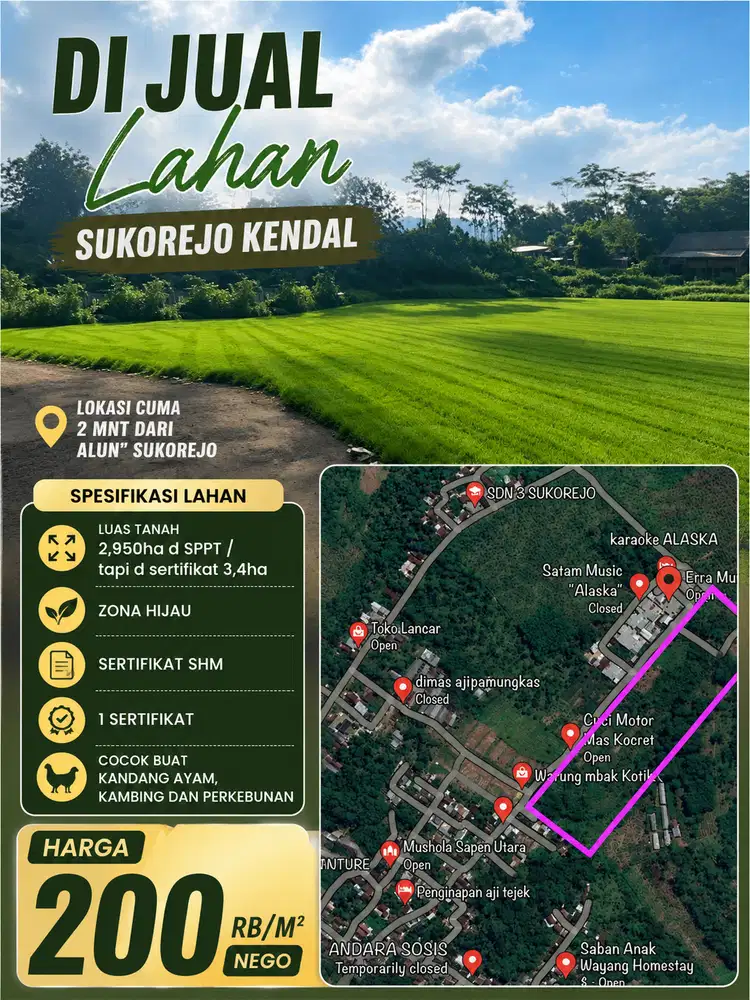 DIJUAL TANAH KENDAL 2,95HEKTAR MURAH DIBAWAH HARGA PASAR