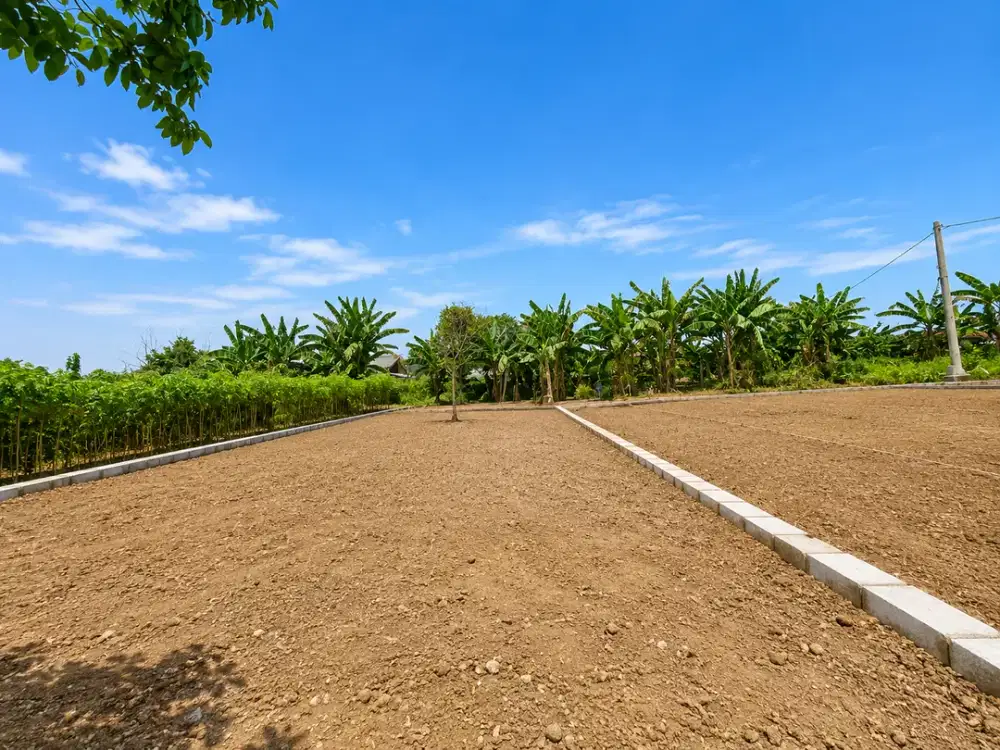 Dijual Kavling Citayam Sebelah Perumahan Puri Bukit Depok Harga 1JTan Permeter