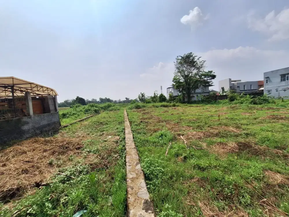 Tanah Kavling Dramaga Bogor, 10 Menit Kampus IPB