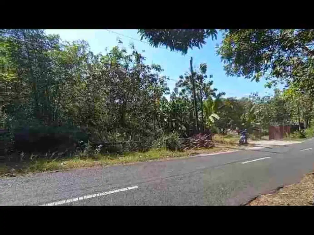 Jual Tanah Wintaos, Girimulyo, Kec. Panggang, Kabupaten Gunungkidul, Daerah Istimewa Yogyakarta
