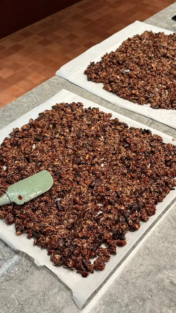 karyawan dapur (wanita)