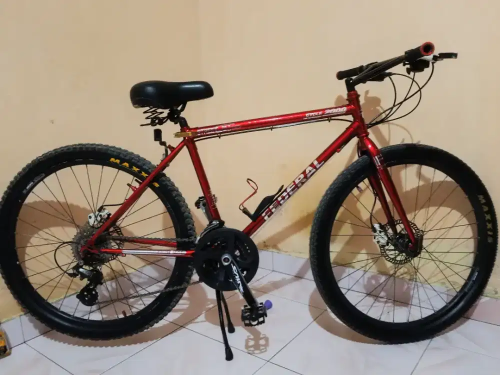 Sepeda federal full upgrade