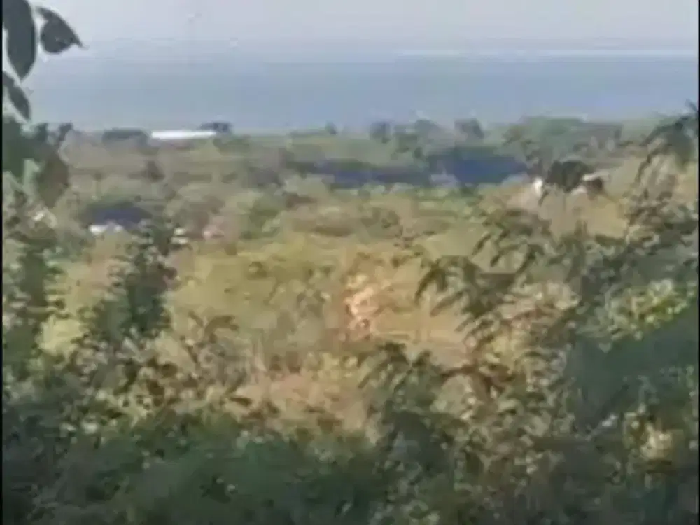 Langka Jarang Ada! Kavling Uluwatu Bali Pemandangan Laut Banyak Peminat