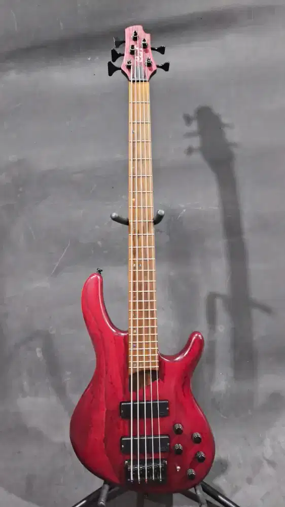 Bass Cort Artisan B5 Plus AS RM Rare - Not Fender, Ibanez, Yamaha