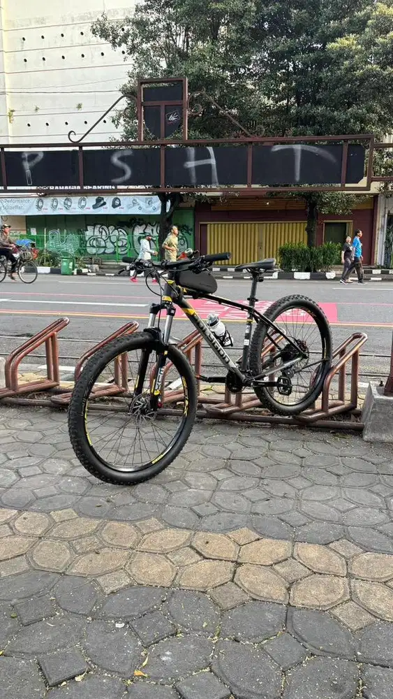 polygon premier 5