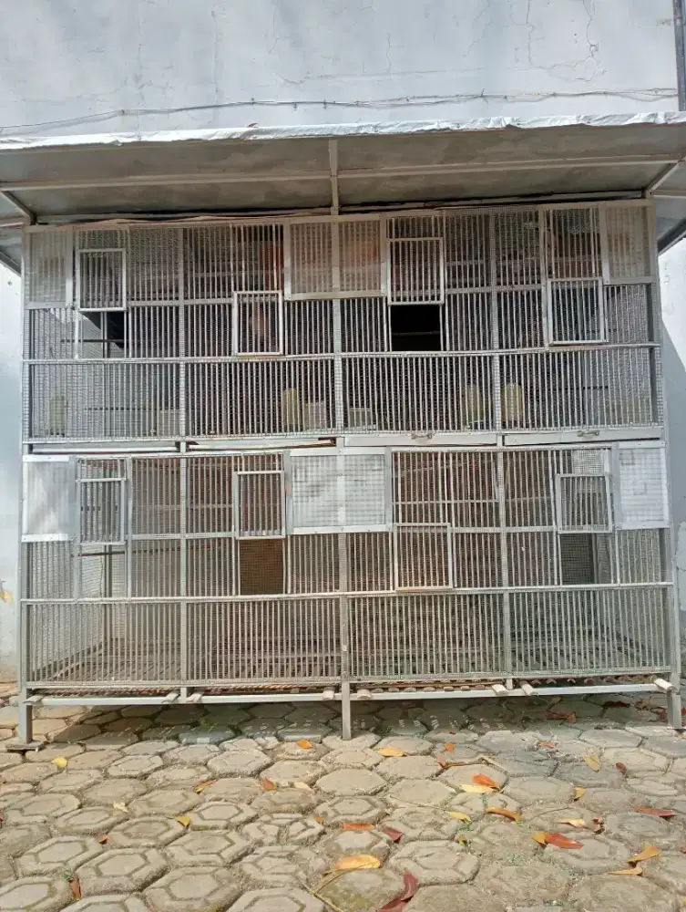 Kandang ternak buat segala jenis burung