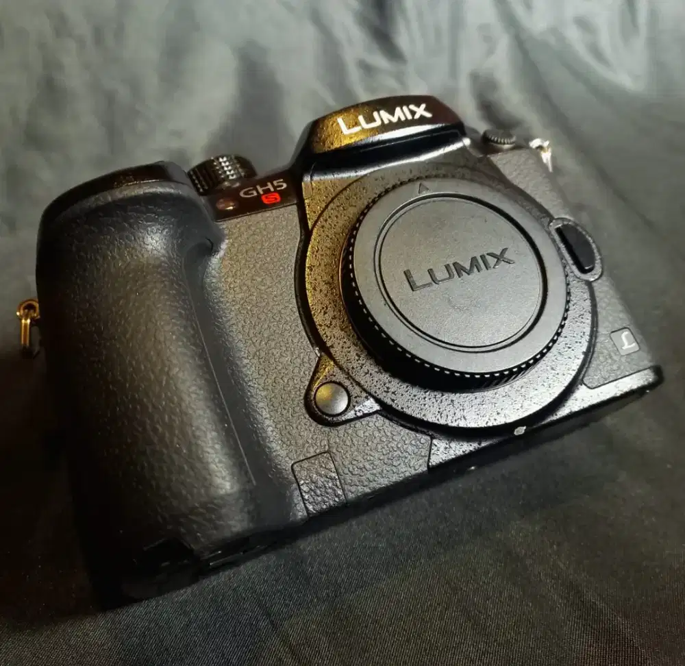 Panasonic lumix GH5S
Include accecories