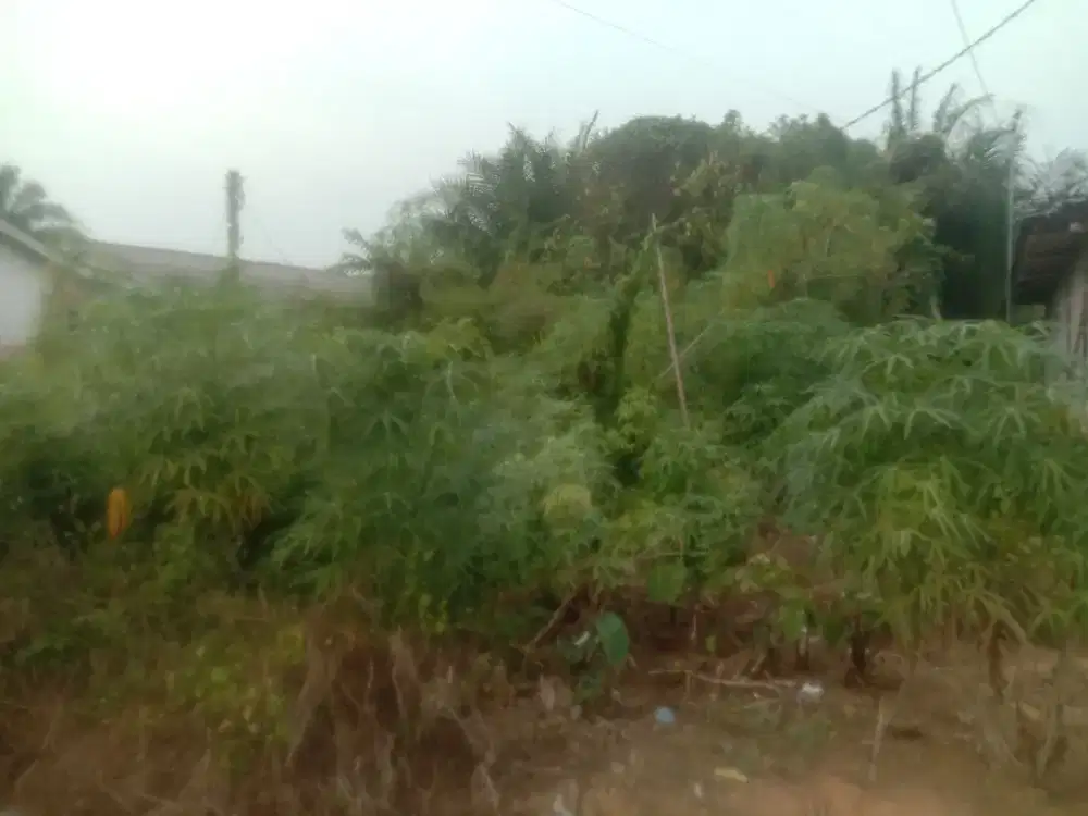 DIJUAL MURAH TANAH DEKAT UBB