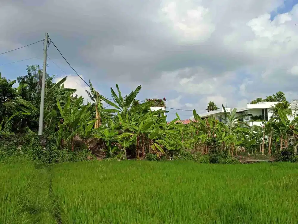 DIJUAL / FREEHOLD  Tanah Kecil View Sawah, Jl Tumbak Bayuh, Pererenan, Badung Bali