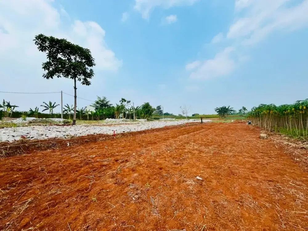 Kavling Murah Tajur Halang Bogor, Harga Mulai 1Jt-an/m2
