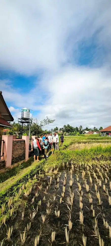 jual tanah/sawah