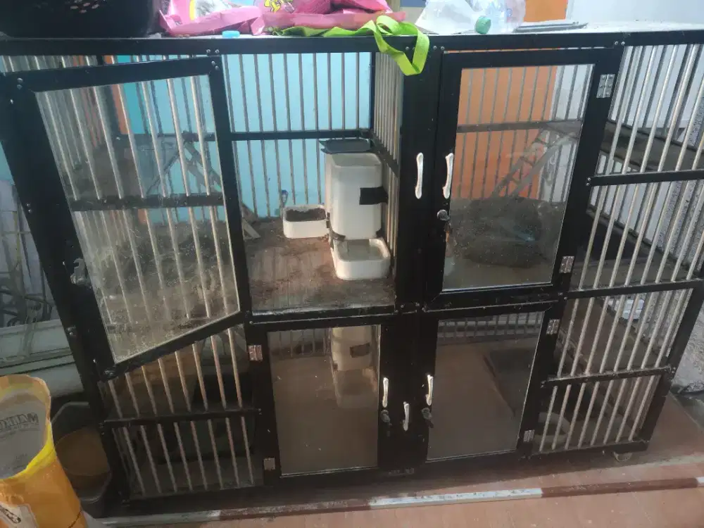 Kandang Kucing 4 Pintu