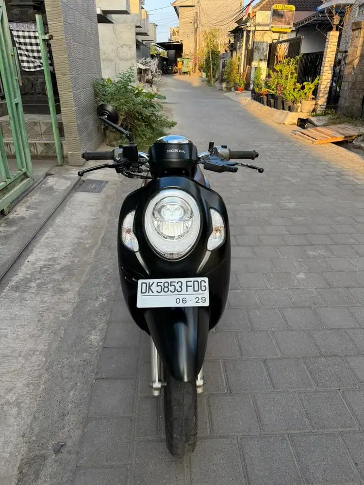 honda scoopy 2024