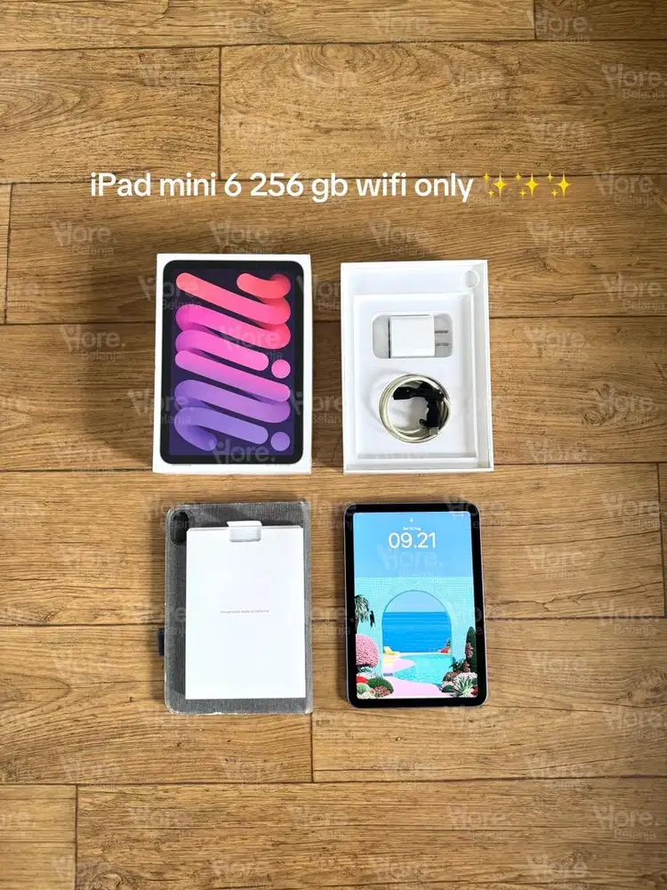iPad mini 6 256 gb wifi only