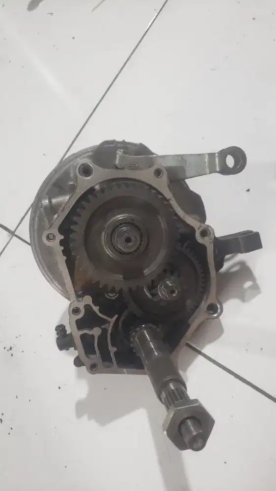 Rasio Mio Gear 2024