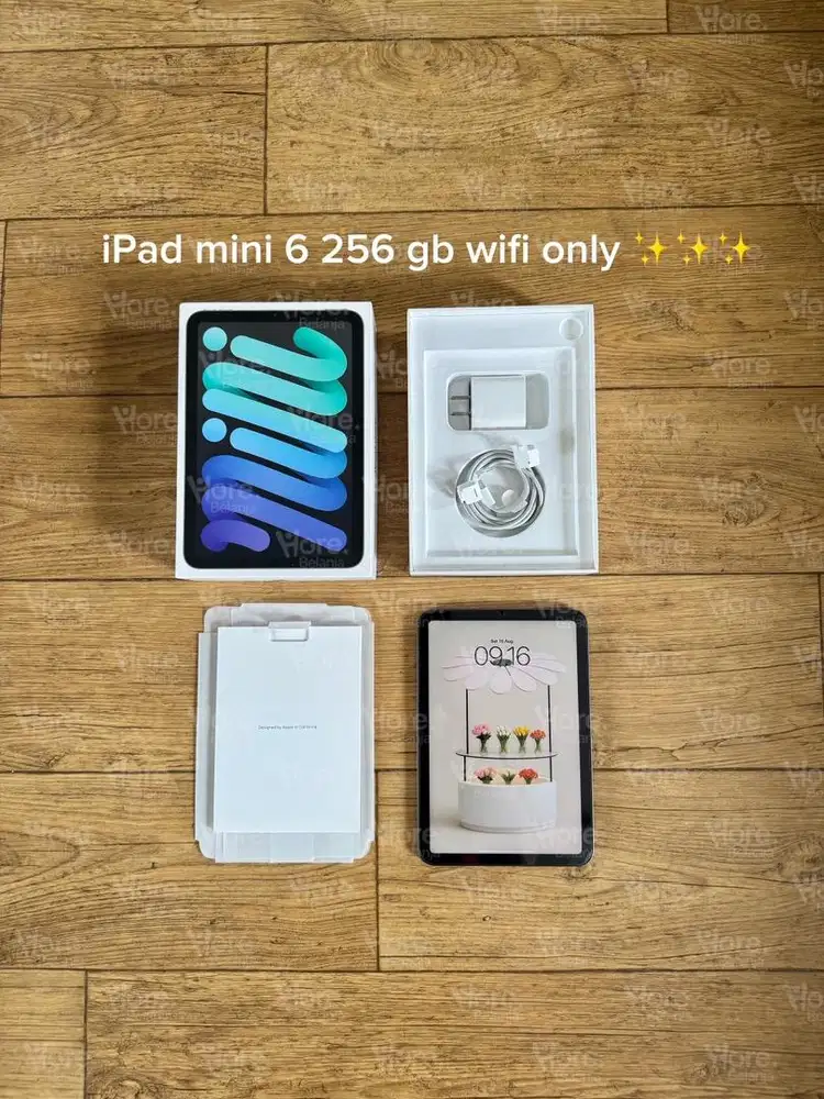 iPad mini 6 256 gb wifi only
