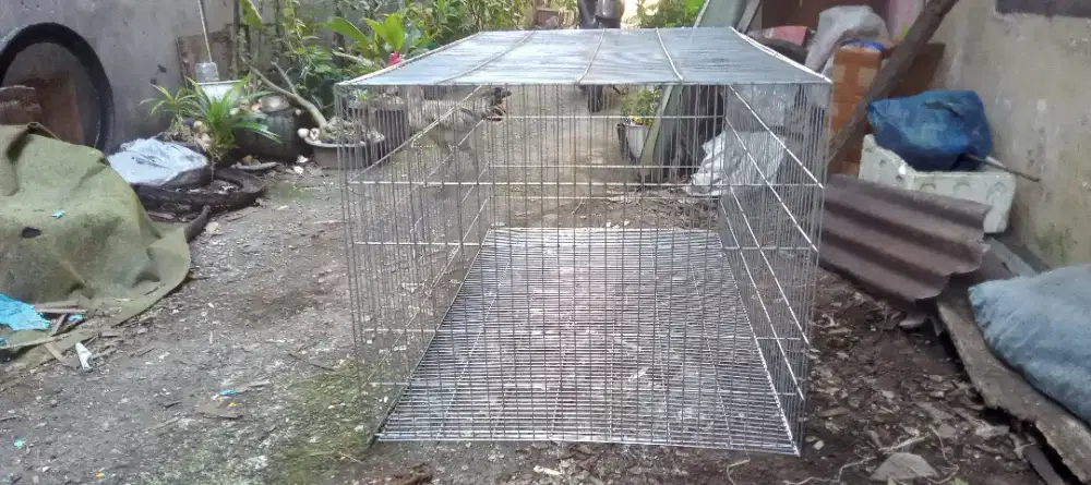 Kandang kucing atau ayam