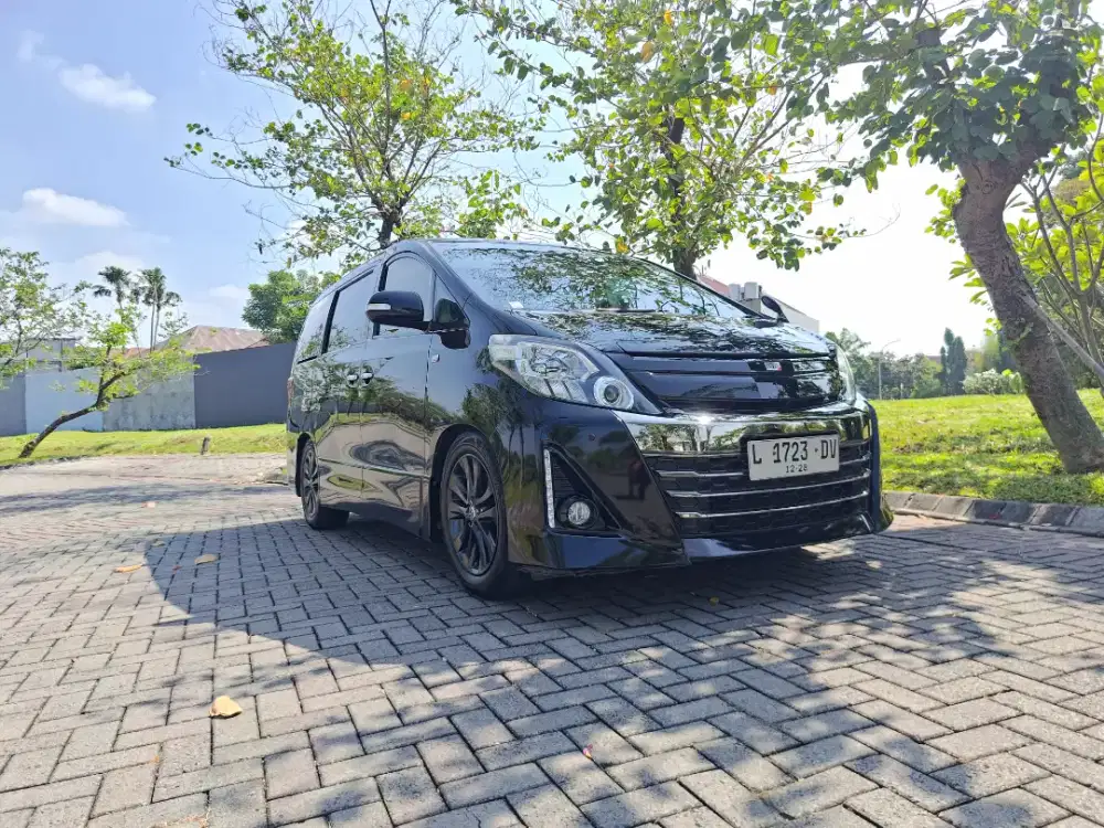 Toyota Alphard GS Premium Sound 2013