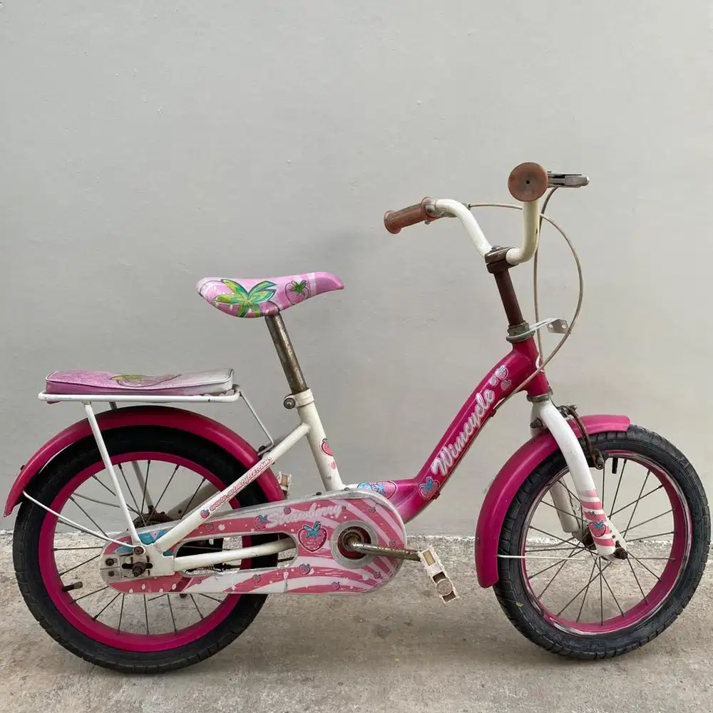 Sepeda anak perempuan