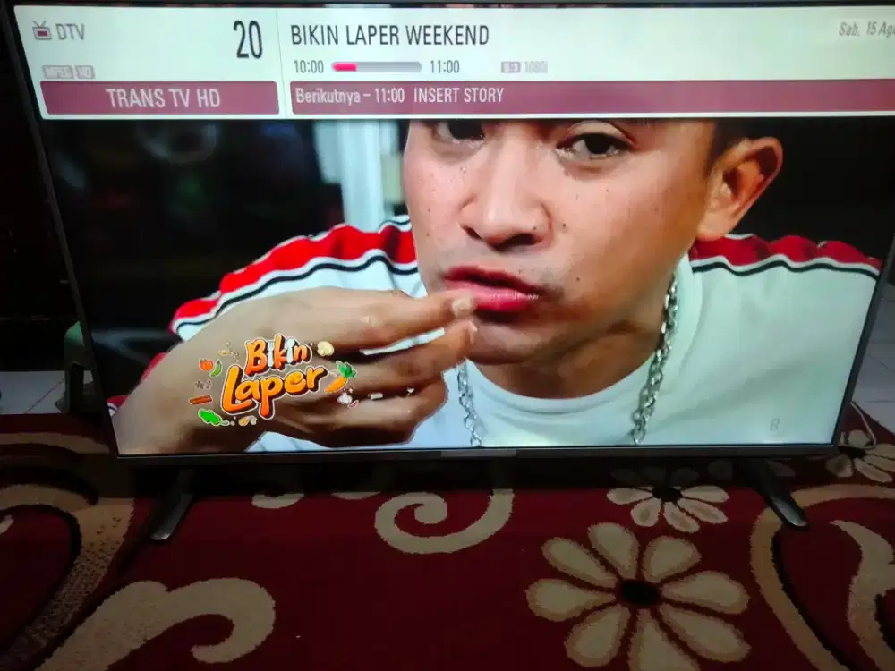 TV LED LG 49 INC NORMAL DIGITAL REMOT ADA