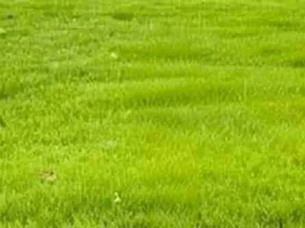 DIJUAL TANAH STRATEGIS BUDURAN SIDOARJO
