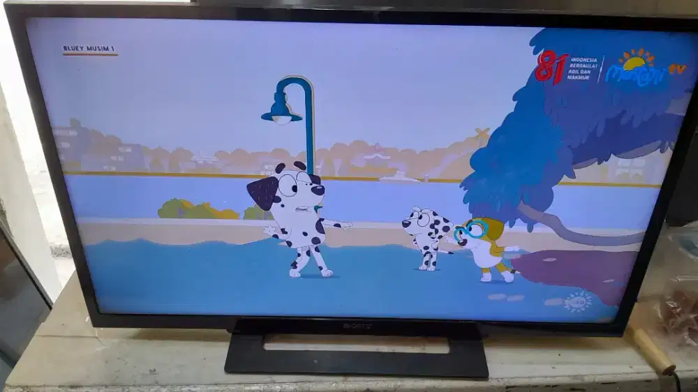 Tv led sony 32 inch digital
