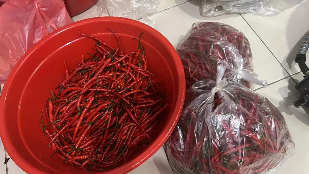 LOWONGAN ART PRODUKSI SEBLAK DAN DIMSUM