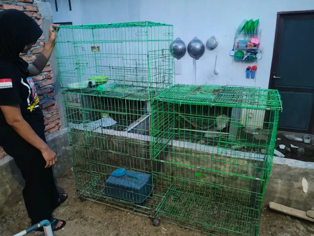 Kandang Hewan  kandang kucing kelinci