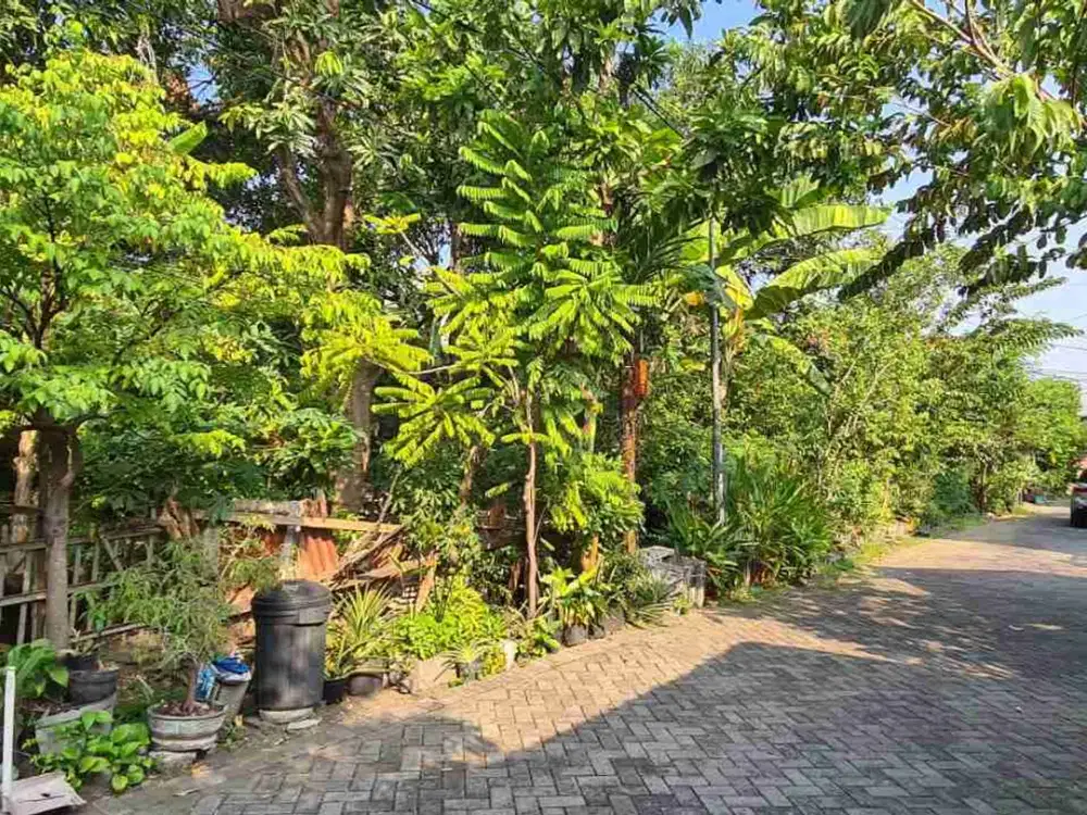 Semolowaru Tengah Sukolilo Surabaya Jual Tanah Ukuran Melebar Jarang Ada