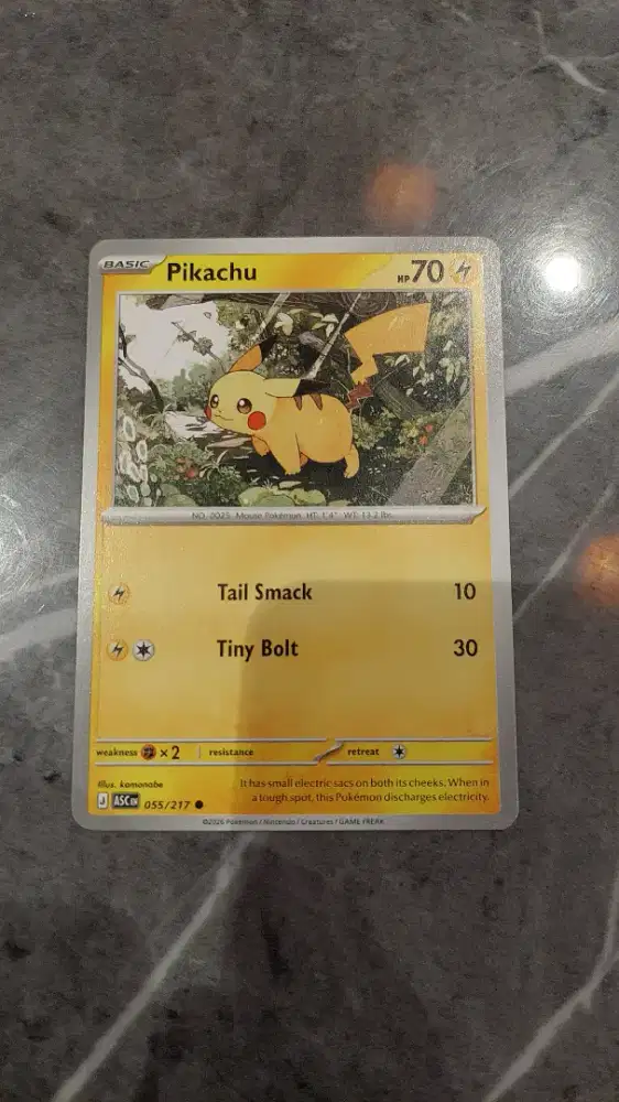 Kartu Pokemon Pikachu