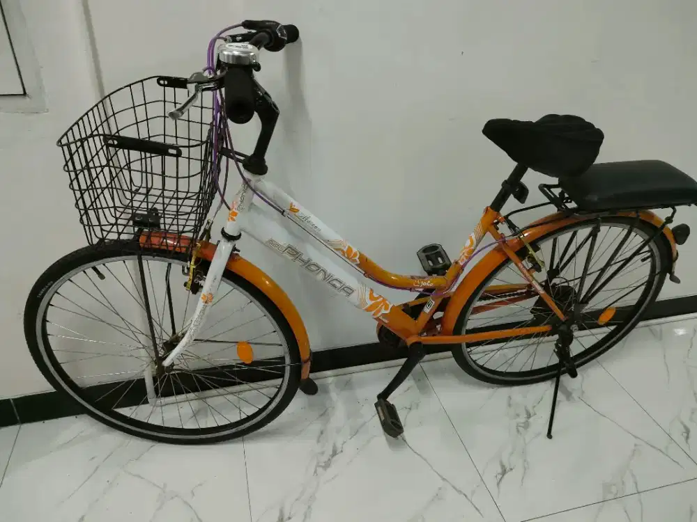Sepeda Keranjang Perempuan Dewasa