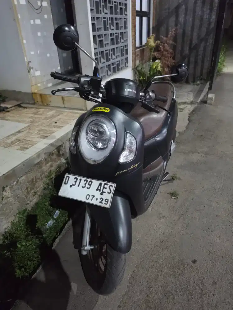Scoopy pristige