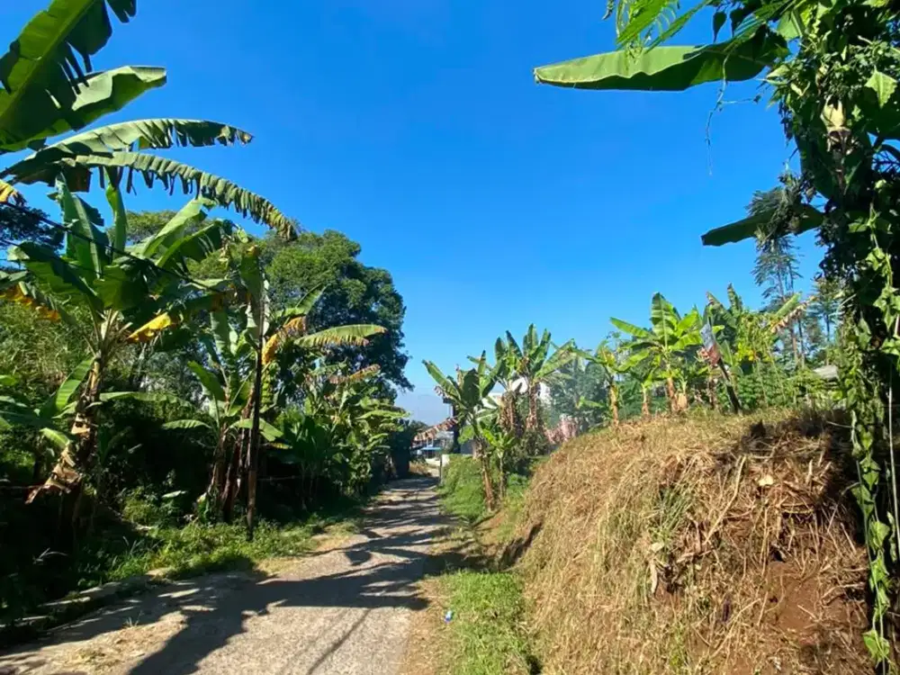 TANAH KAVLING STRATEGIS PADASUKA – BANDUNG