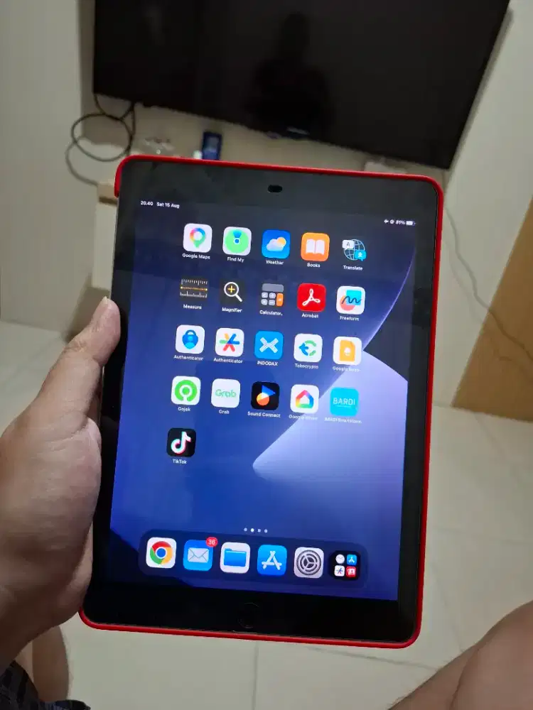 Ipad pro 9.7 inch