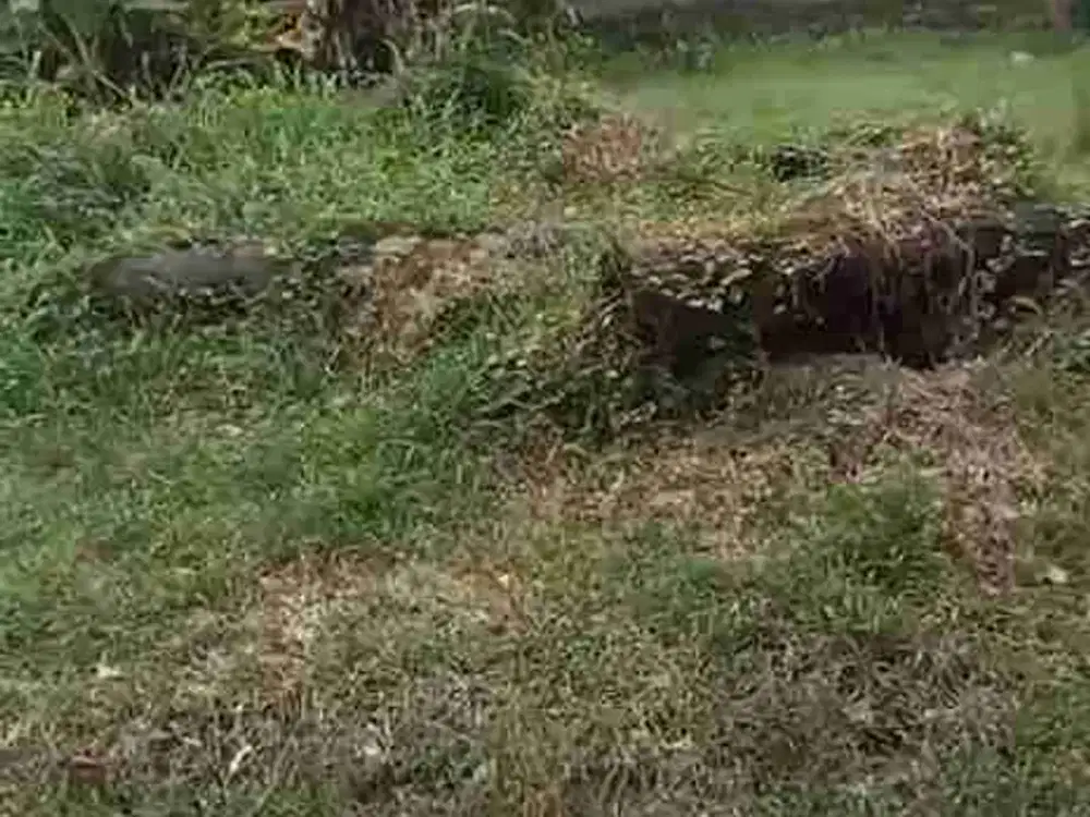 Termurah tanah di by pass ida bagus mantra samping taman safari bali