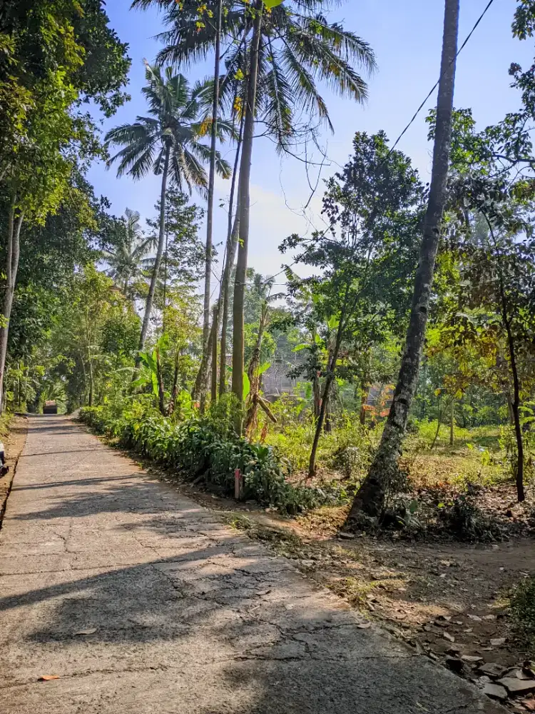 Dijual tanah pinggir jalan strategis butuh tengaran