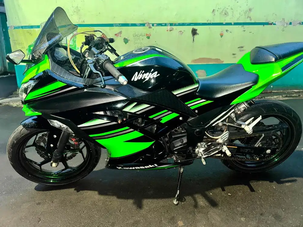 FS Kawasaki Ninja 250 FI
