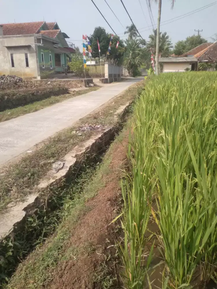 Tanah pinggir jalan