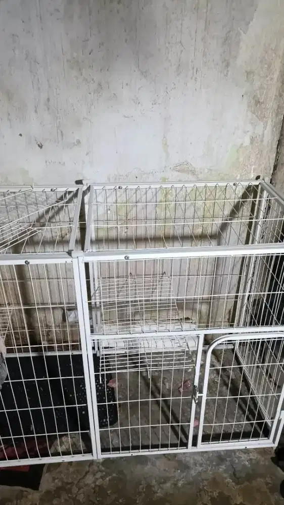 Kandang kucing jumbo premium