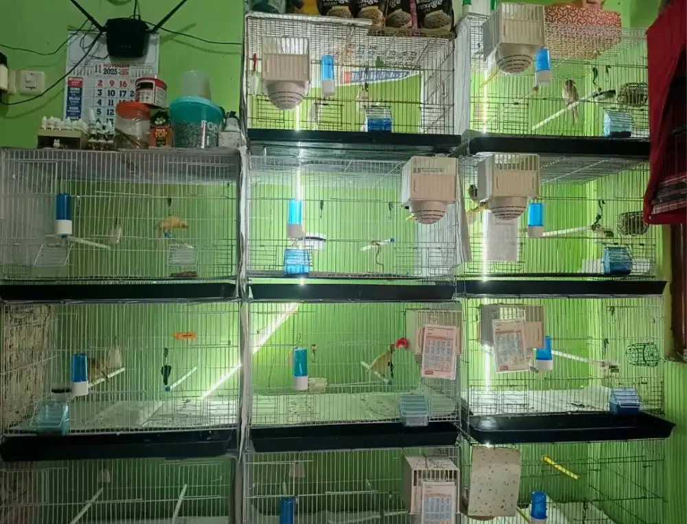 Kandang ternak ukuran 40 x 60