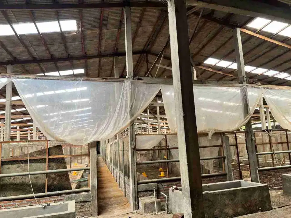 0827,271 Jual Lelang Gudang Sidoarjo Balongbendo Wonokarang