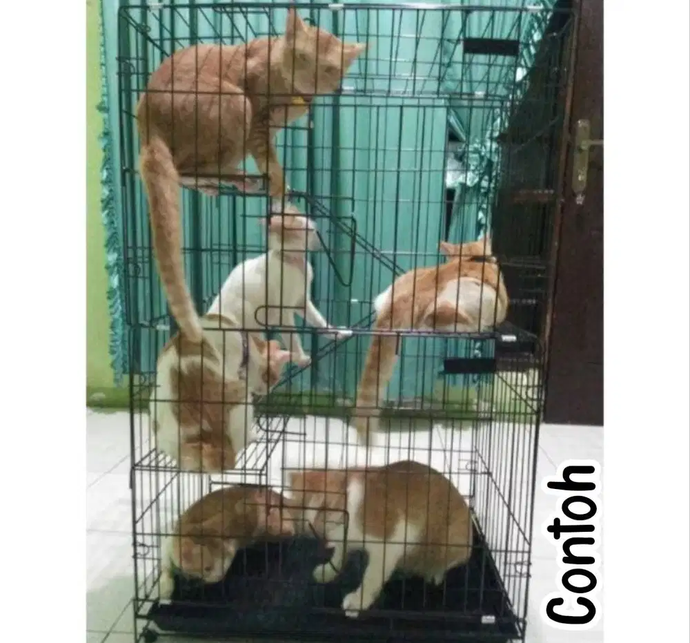 Kandang Kucing Bekas