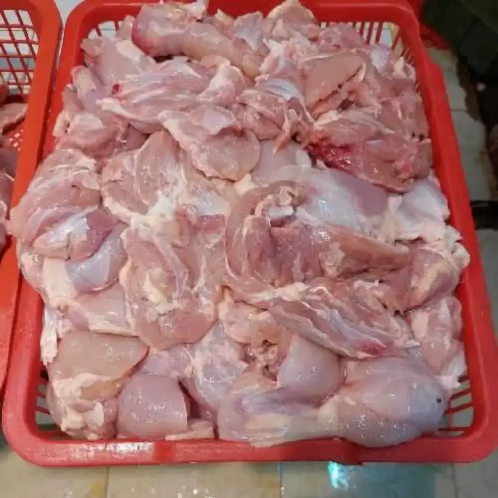 Jual ayam potong seger