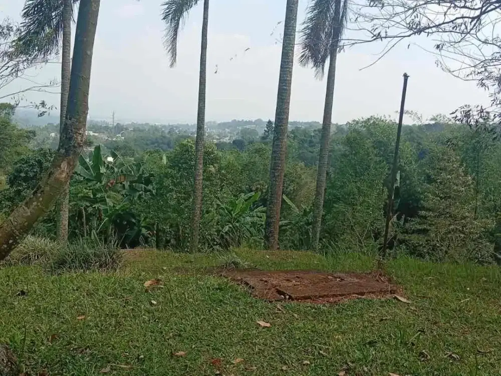DIJUAL TANAH MURAH DAN BANGUNAN