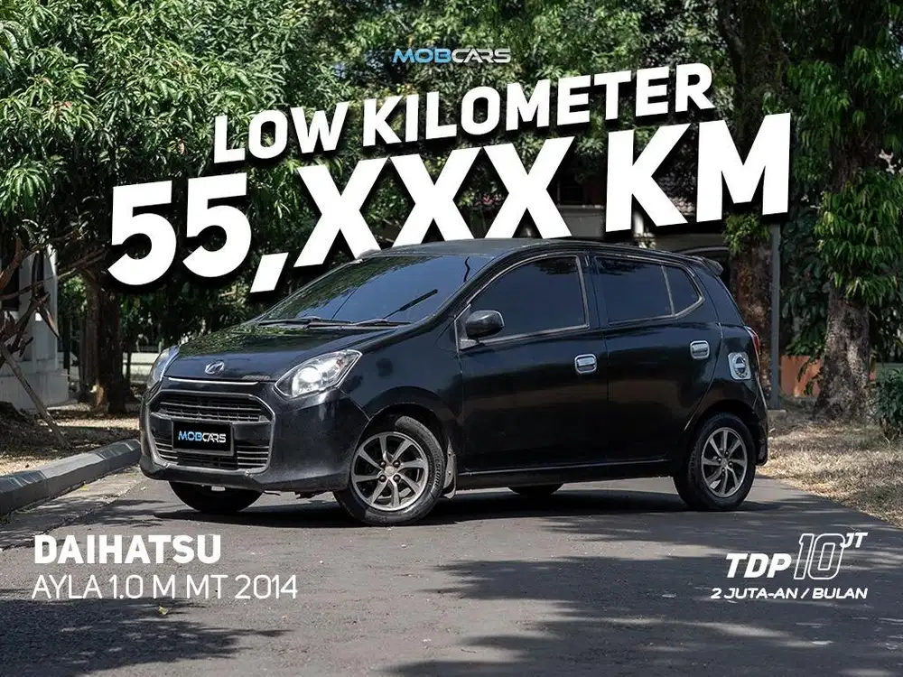 AYLA 1.0 M MT 2015