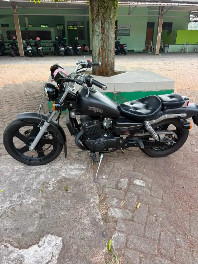 Benelli Patagonian Eagle 250