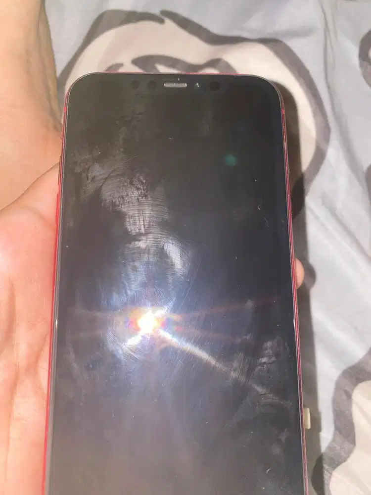 iphone 11 all opp jakut